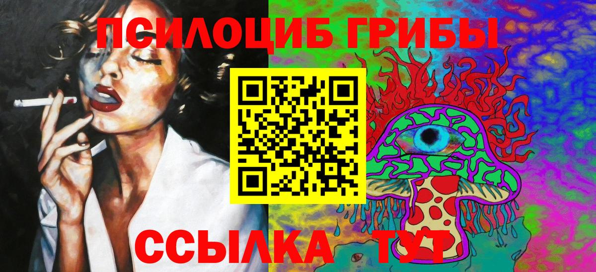 Галлюциногенные грибы Cubensis Астрахань